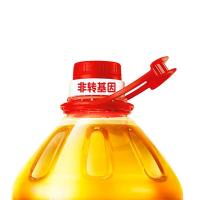 金龙鱼 黄金比例 零反式脂肪食用植物调和油 5L (单位: 桶) 新老包装随机发货