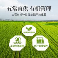 裕道府 五常有机生态大米 感恩有你 真空装 5kg (单位:袋)