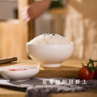 隆平芯米 耐盐碱助农特别款 珍珠米 东北大米 寿司米 晚稻粳米 5kg（单位：袋）