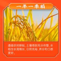 隆平芯米 辽河长粒香米 东北盘锦大 寿司煮粥米粳米 5kg（单位：袋）