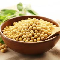 米妹妹（MIMEIMEI） 大豆油 500ml （单位:瓶）