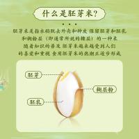 十月稻田（SHI YUE DAO TIAN） 胚芽米 东北大米 真空包装 1.5kg 绿色（单位：袋）
