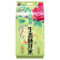 十月稻田（SHI YUE DAO TIAN） 胚芽米 东北大米 真空包装 1.5kg 绿色（单位：袋）