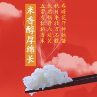十月稻田（SHI YUE DAO TIAN） 寒地之最 五常有机稻香米 大米 5kg 真空包装 （单位:包）