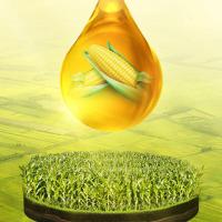 福临门 福至心礼 非转基因物理压榨玉米油 5L (单位:桶)