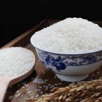 原康健 原阳黄金 晴大米 2.5kg 真空包装 (单位:袋)