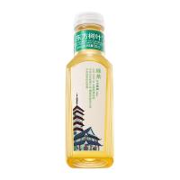 农夫山泉 东方树叶 绿茶 500ml*15瓶/箱（单位：箱）