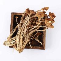 乡珍味（XIANGZHENWEI） 广昌 茶树菇 200g (单位:袋)