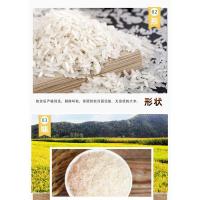 中香 上林金丝苗米 5kg（单位:袋）真空包装