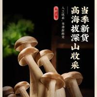 田知府 鹿茸菇 340g 68g/包 5包/箱 （单位：箱） 绿色