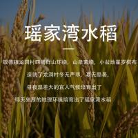 中香 瑶家湾香粘 米 真空包装  2.5KG （单位:袋）