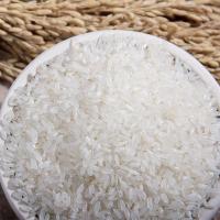 田作故事 种着好米五常大米 东来同款 一等真空 5kg (单位:袋)