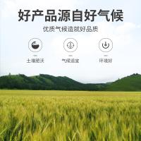 方家铺子 大麦茶 养生茶 新旧包装随机发货 500g  （单位:瓶）