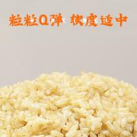 米妹妹（MIMEIMEI） 五常 五常糙米 1kg(单位：袋) 真空包装