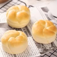 港荣（Kong WENG） 淡奶味面包 糕点 460g （单位:箱）