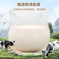十二夏天 每瓶含量500mg进口燕窝 燕窝奶 180g*6瓶 白色（单位：盒）