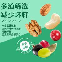 鲜记 每日坚果 B款 500g 拿铁色（单位：罐）
