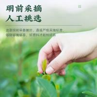 茶马世家 碧螺明前 绿茶 250g*2罐 浅杉绿（单位：组）