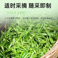 茶马世家 毛峰明前 绿茶 250g 松石绿（单位：袋）