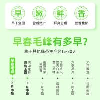 茶马世家 毛峰明前 绿茶 250g 松石绿（单位：袋）