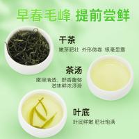 茶马世家 毛峰明前 绿茶 250g 松石绿（单位：袋）