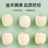 富昌 磨皮 白莲子 250g 新旧包装随机发货 (单位:罐)