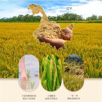 咪然 东北直供长粒香鲜米 黑龙江大米 寒地东北大米 真空包装 5kg（单位：袋）