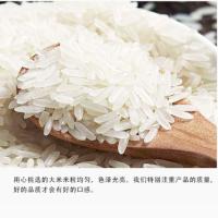 中香 上林金丝苗 米 真空包装 5KG （单位:袋）