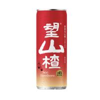 好望水 望山楂 碳酸饮料 330ml*24罐 (单位:箱)