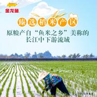 金龙鱼 臻选猫牙香丝米 5kg 真空包装（单位：袋）