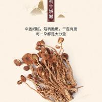 乡珍味（XIANGZHENWEI） 广昌茶树菇 200g/袋 （单位：袋）