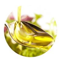 米妹妹（MIMEIMEI） 蛇来运转 米油组合 压榨葵花籽油248ml+五常有机粥米500g (单位: 盒) 大米低氧保鲜包装