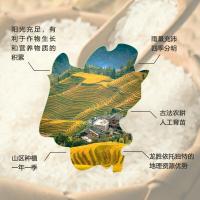 力源 龙脊香米 10斤（单位:袋）真空包装