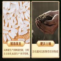 鄱阳湖 长粒鲜稻香米 5kg 真空包装（单位：袋）