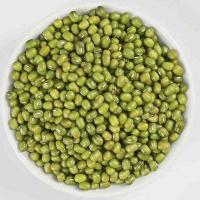 乡珍味（XIANGZHENWEI） 东北 绿豆 2.5KG (单位: 瓶)