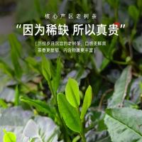 茶马世家  特级恩施玉露嫩芽富硒绿茶礼盒茶叶礼盒装 200g 2025新茶（单位：盒）