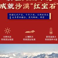好想你 黄帝御枣 果干 896g 黄色（单位：盒）