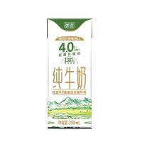德亚 4.0高蛋白 全脂牛奶 250ml/盒 10盒/箱(单位：箱)