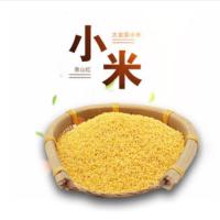 靠山红 大金苗小米 袋装 400g (单位:袋)