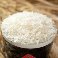 金健 福稻Q弹香米 大米 真空包装5kg 红色（单位：袋）