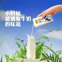 认养一头牛 高品质3.6g乳蛋白 纯牛奶 250ml/盒 12盒/箱(单位：箱)