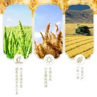 金龙鱼新疆雪花粉1kg（单位：袋）