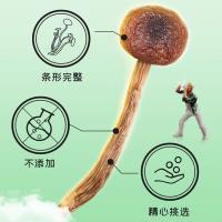 富昌有机茶树菇100g（单位：袋）