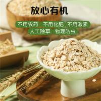 好麦多（HONlife） 国燕一号有机燕麦片 代餐谷粉 300g 绿色（单位：袋）