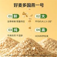 好麦多（HONlife） 国燕一号有机燕麦片 代餐谷粉 300g 绿色（单位：袋）