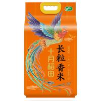 十月稻田（SHI YUE DAO TIAN）凤凰呈祥长粒香米5kg 真空包装（单位：袋）