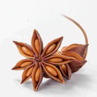 方家铺子中华老字号八角120g（单位：瓶）