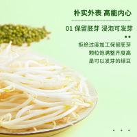 十月稻田（SHI YUE DAO TIAN） 一级 绿豆 1kg 非有机 可发豆芽 打豆浆 东北 五谷 杂粮 粗粮 真空大米伴侣 (单位:袋)