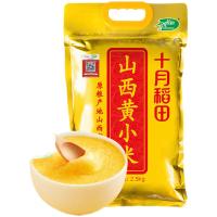 十月稻田（SHI YUE DAO TIAN）软糯绵密黄小米真空包装2.5kg（单位：袋）