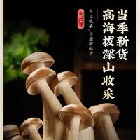 田知府 经典款 鹿茸菇 68g(单位：袋)